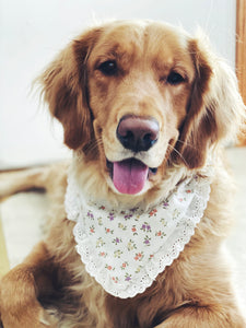 Sweet Annie bandana