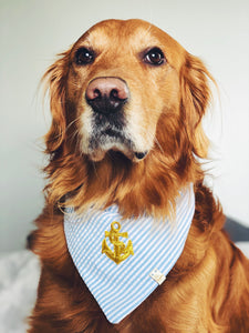 Skipper bandana