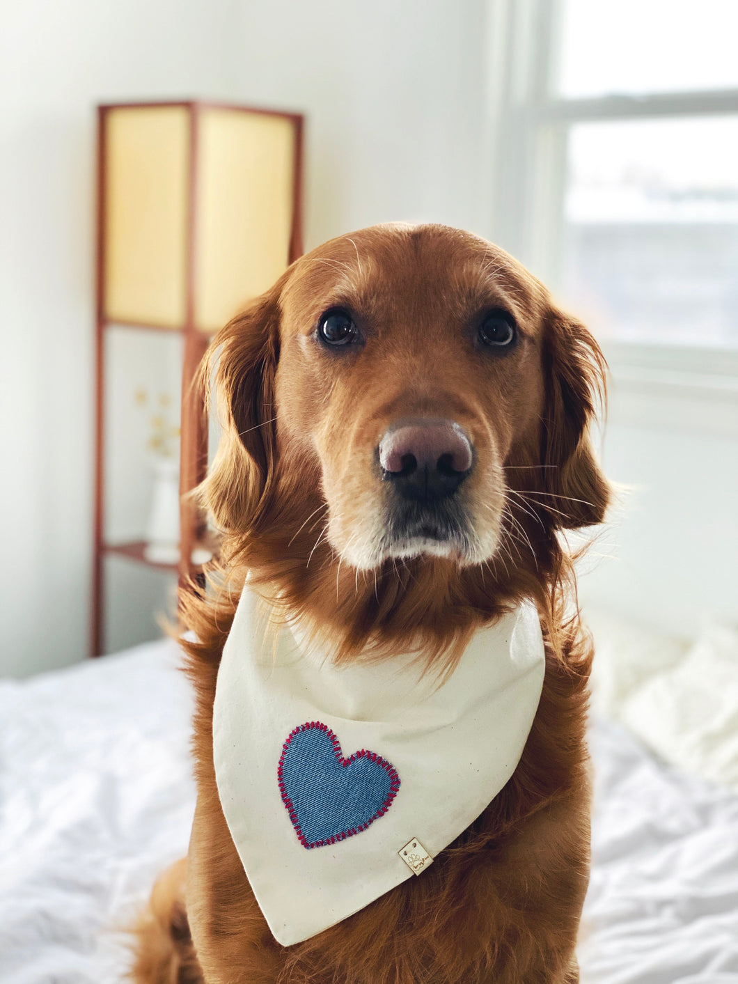 Furever in Love bandana