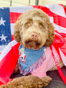 Pawtriotic bandana