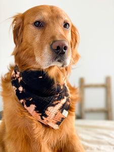 Dusk to Dawn bandana